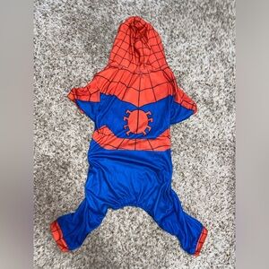 Dog spiderman costume